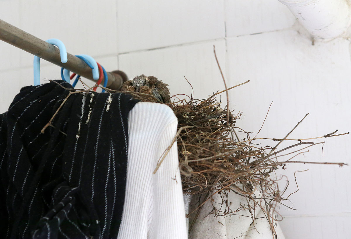 管业公司助理实习报告的收获与体会