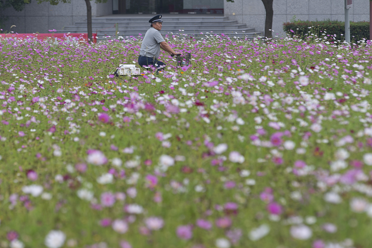 辽宁中医药大学杏林学院怎么样？毕业后找工作容易吗？