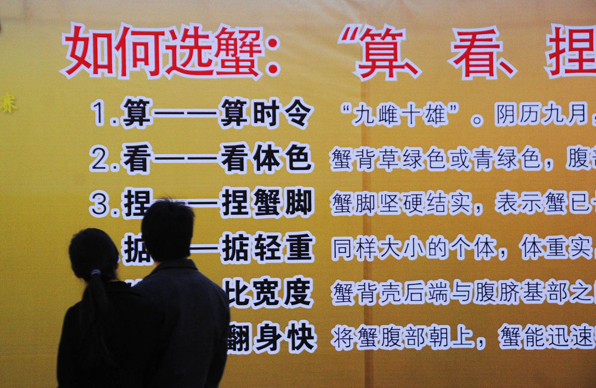 丁真为什么被称为理堂王