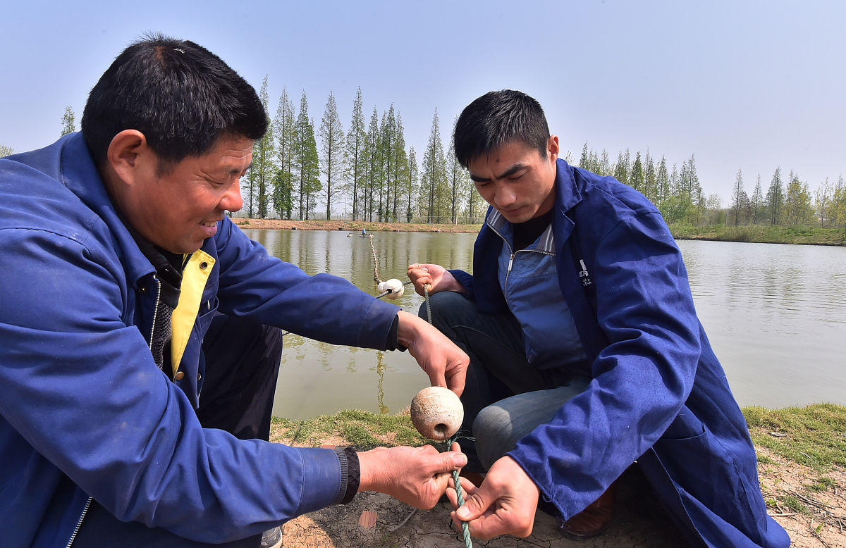 南昌大学软件学院新生入学指南：学习、生活、成长PPT内容：1 学院简介- 学院概况- 专业设置- 师资力量- 学院荣誉2 新生该如何学习- 课程设置：软件工程、计算机网络、数据库等- 实践学习：项目实践、实验课等- 学科竞赛：ACM、数学建模等- 学习技巧：课前预习、课后复习、多做题、多练习等3 新生该如何生活- 校园生活：社团、活动、文化节等- 住宿、饮食、医疗等问题- 学生服务：心理咨询、就业