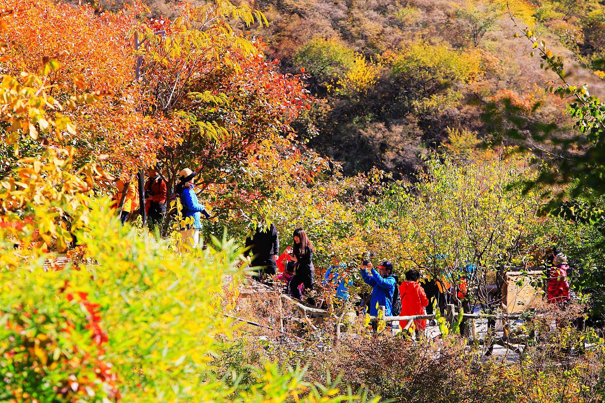 秋日百望山：一次难忘的亲子旅行