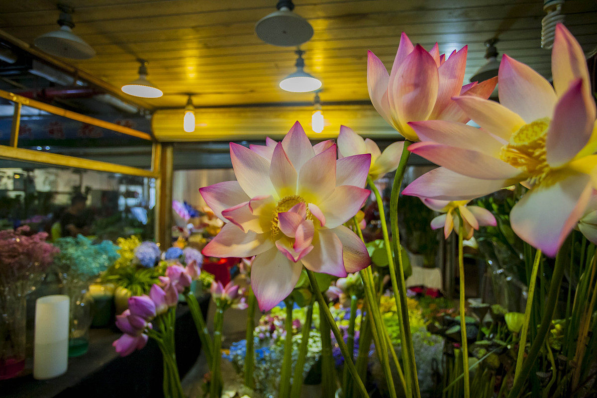 《混凝土结构设计规范》最新设计规范