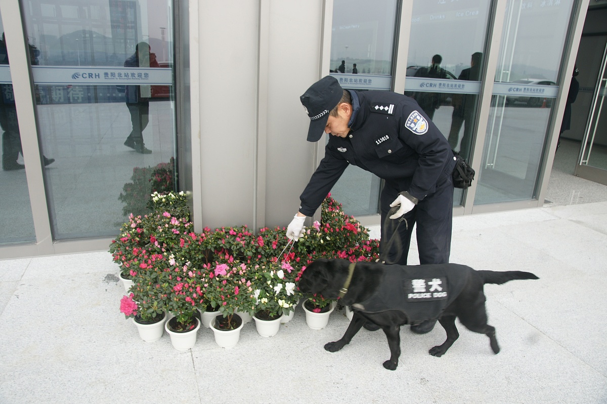 贵州民族大学中专部通信运营服务专业怎么样？就业前景、课程设置及发展趋势