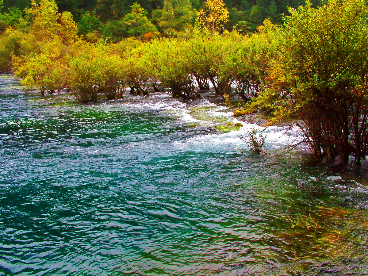 四川美容美体专业高校推荐 - 学习美容美体专业的最佳选择