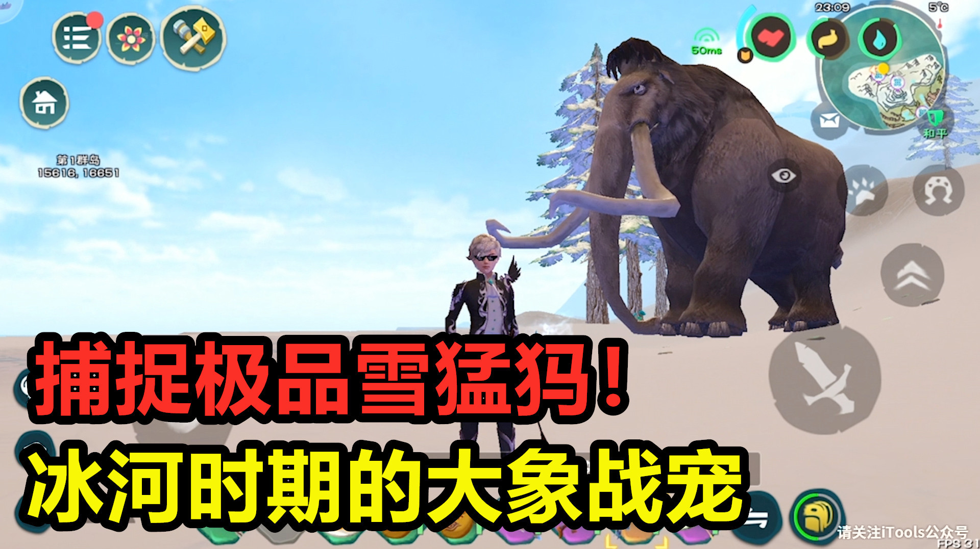 创造与魔法:捕捉最强的大象战宠!这极品的雪猛犸,变异就是六阶