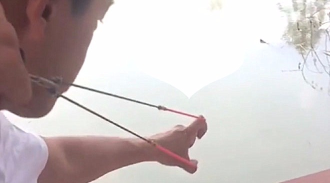 弹弓射鱼镖:这么小的鱼,放进水里,还活吗?