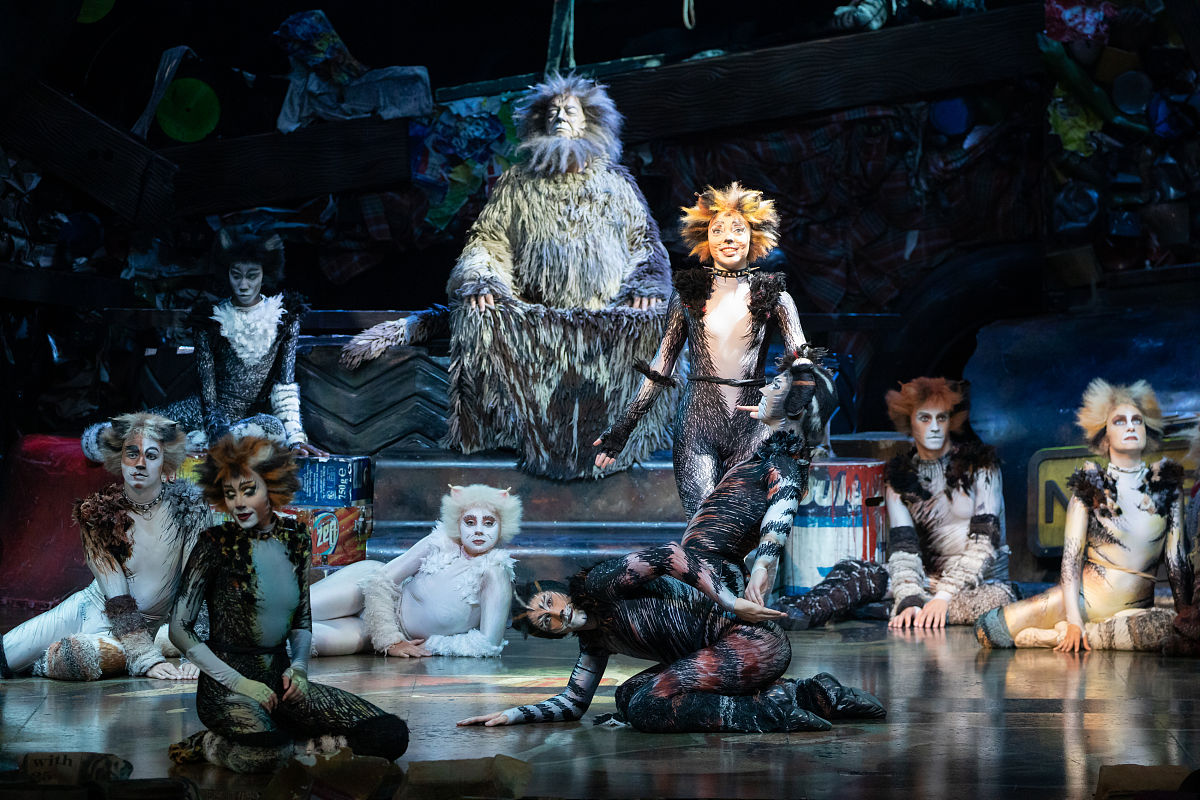 电影《猫》：音乐剧改编，明星云集，口碑褒贬不一