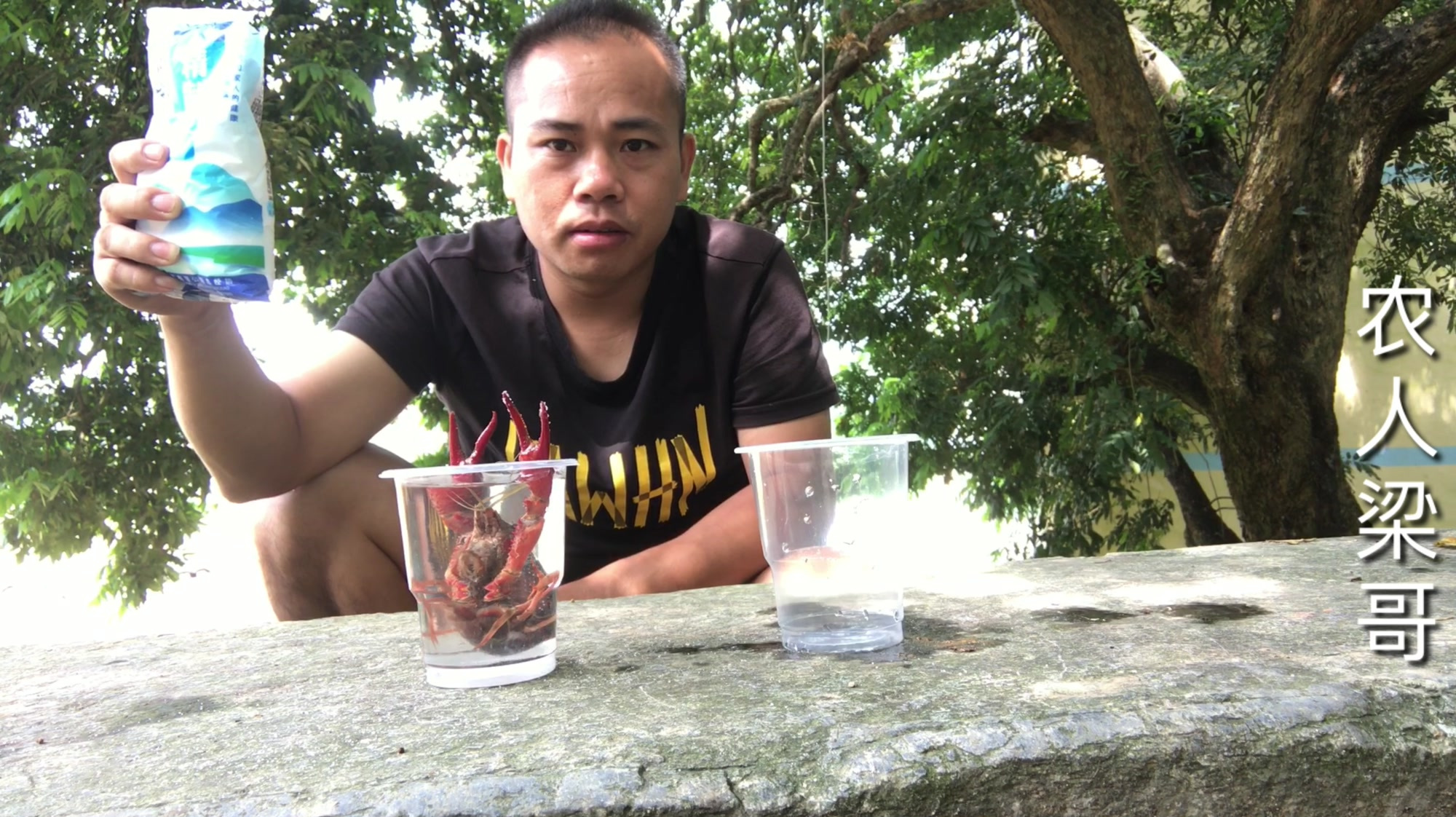 梁哥把小龙虾放进盐水里会发生什么?10分钟后水已经变得浑浊了