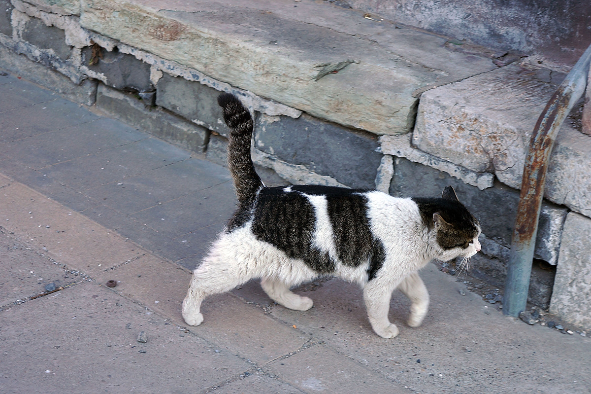 河道治理用地标准文件：用途、范围、数量及管理