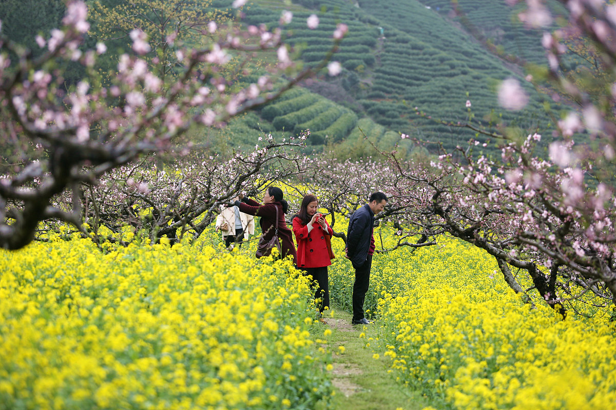 胜多负少 - 成语解释及应用场景