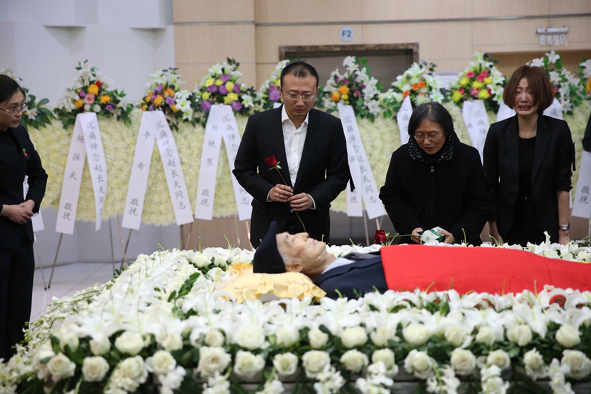 春天作文：800字美文赏析，感受生命与自然