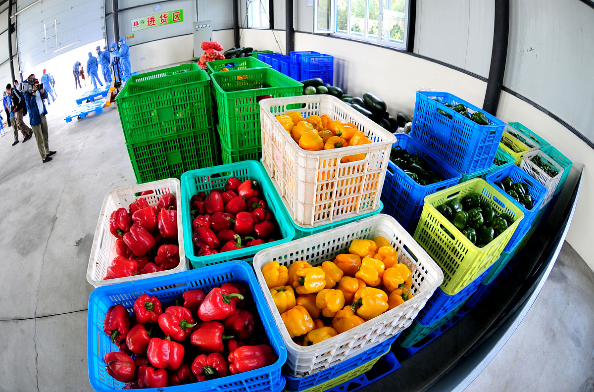 研究食品冷藏技术的发展与应用的方法