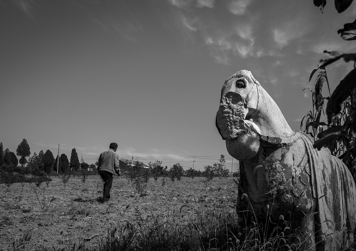 礼泉职业教育中心2023年地址在哪里