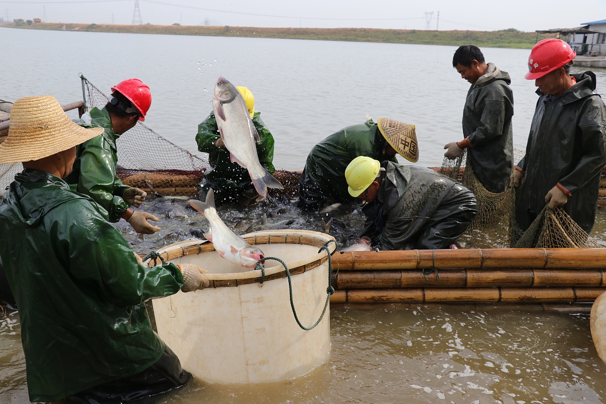 峨山县职业高级中学2022年招生条件 - 优质教育，成就未来