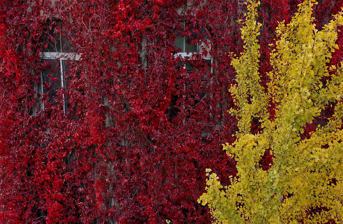 辽宁工程技术大学地质工程专业怎么样？就业前景分析