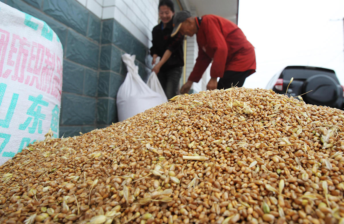 重庆市农业学校专业介绍：全面解读专业设置与优势