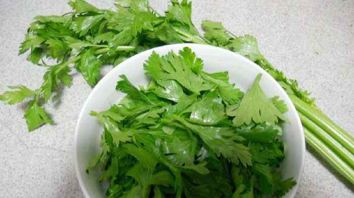 为什么吃芹菜时,要把叶子摘掉?芹菜叶到底能不能吃呢?涨知识了
