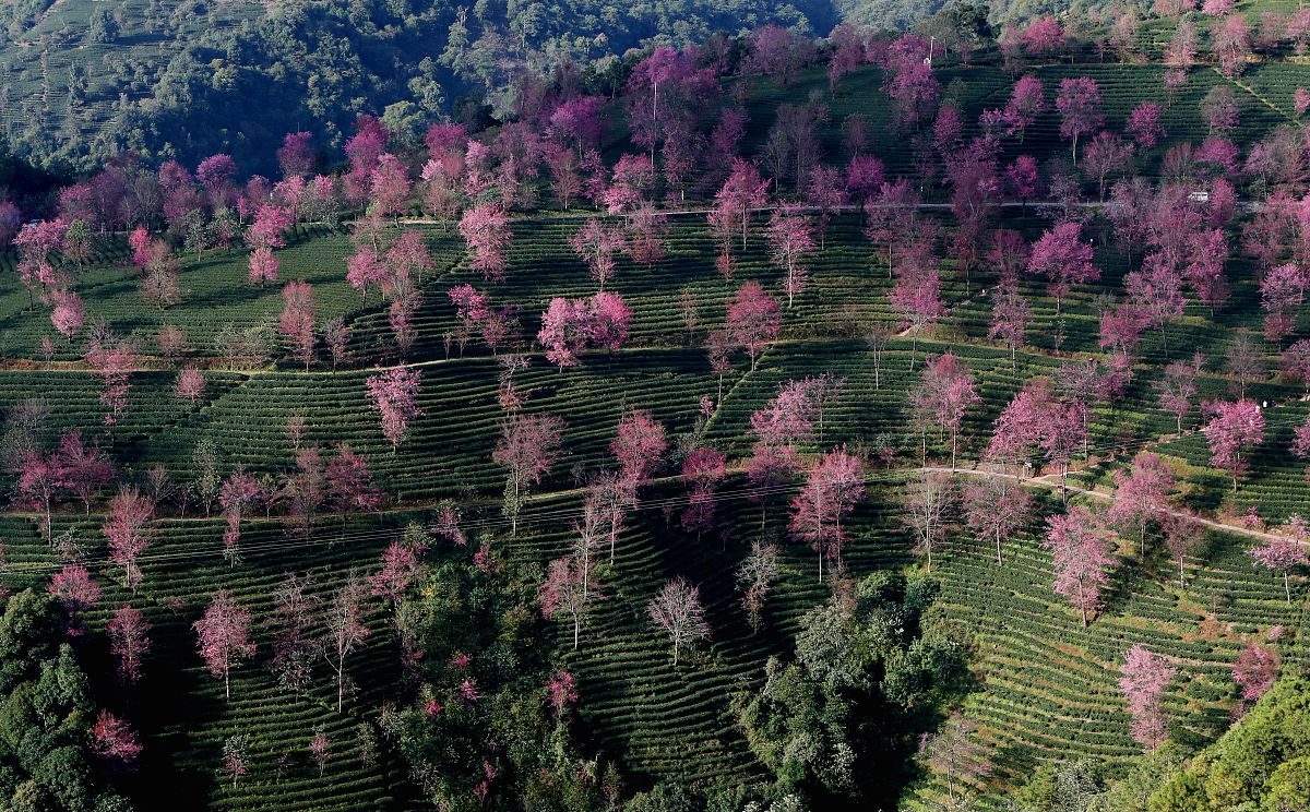 2019年云南新型职业学院助产专业招生