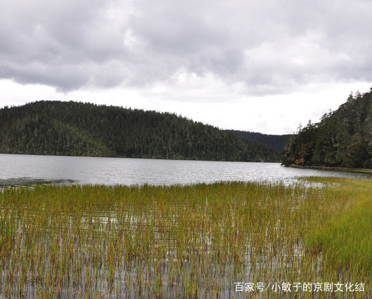碧塔海自然保护区,位于云南省中甸县东部,云南
