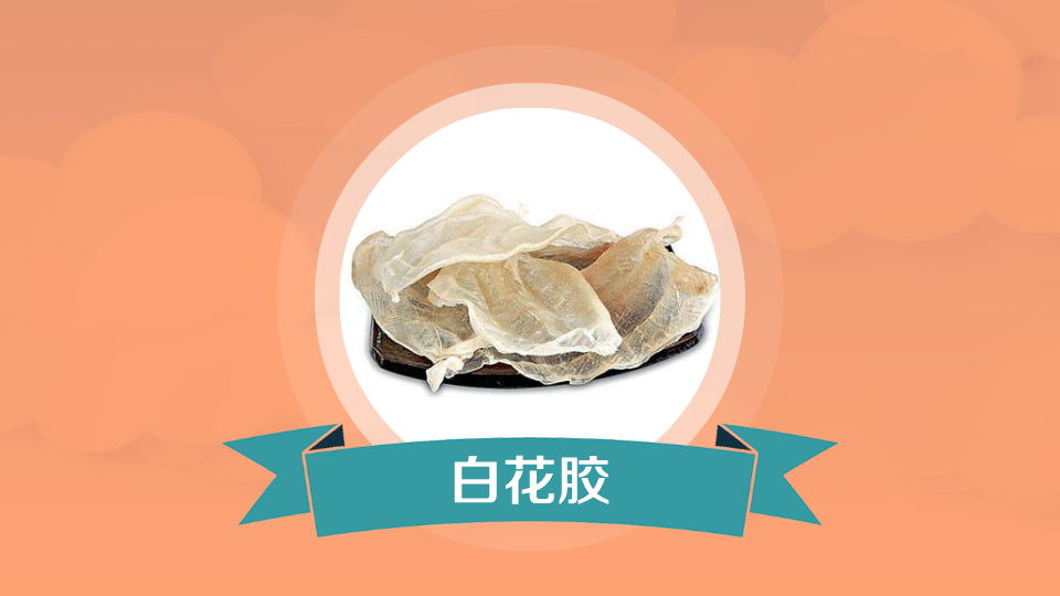 白花胶:白花鱼之鱼鳔