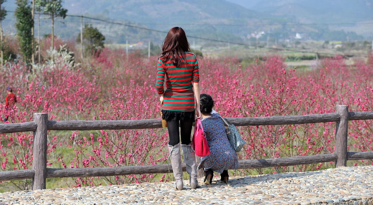 关于春游的作文 要求