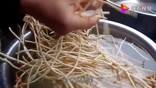 常吃鱼腥草的3大好处,强大“特效”摆在里,不吃真的可惜了!