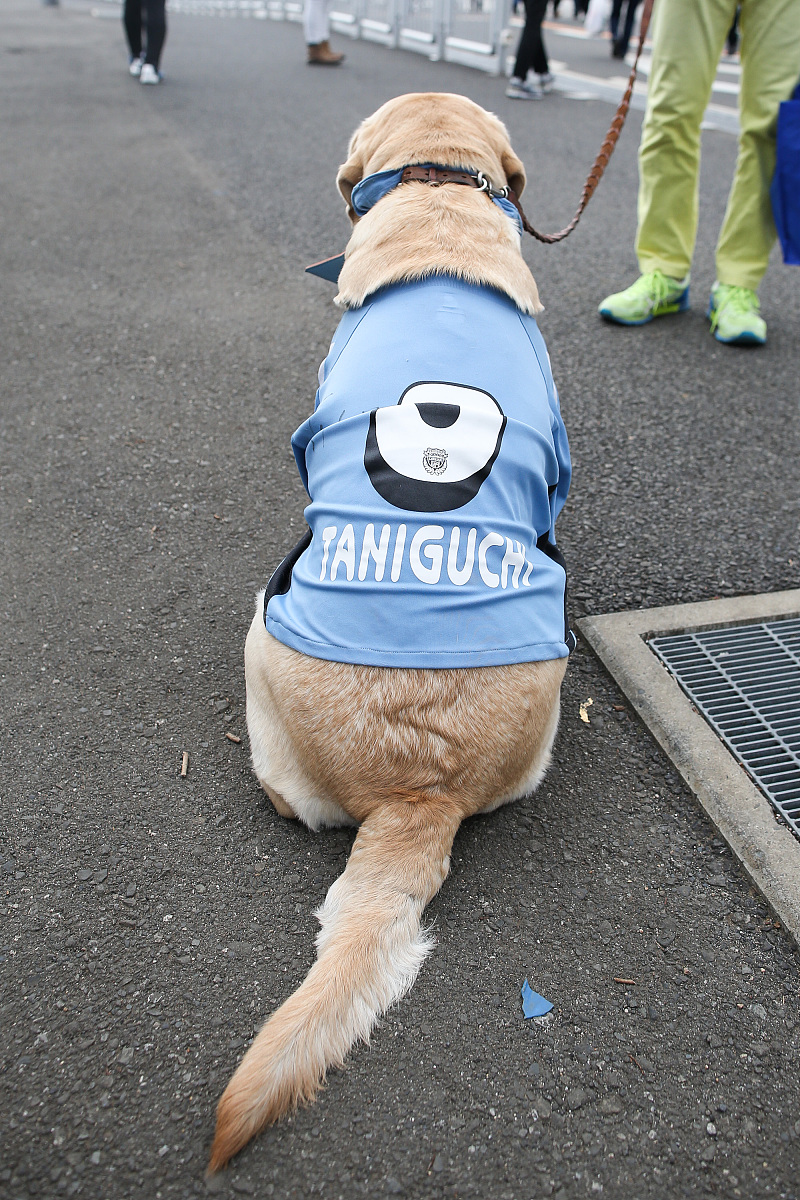 淘宝人气宝推广如何用？推广有用吗