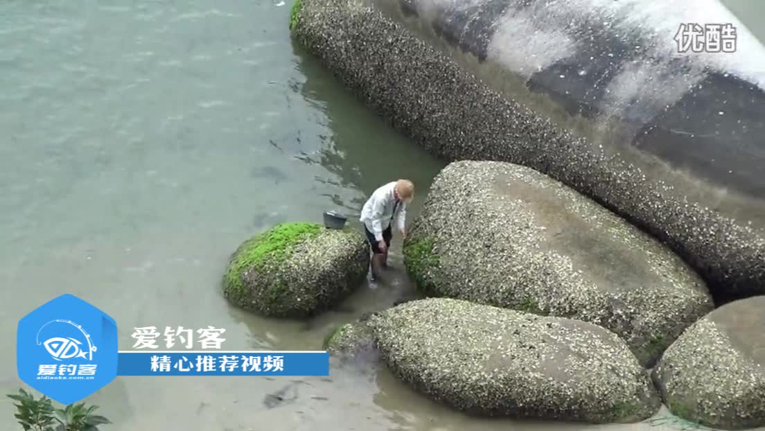 钓鱼技巧:探穴钓石斑鱼钓法