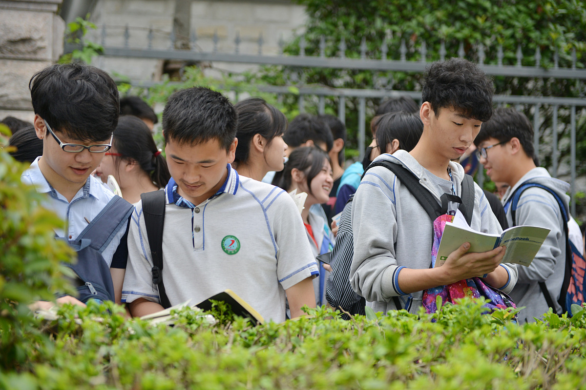 新高考选课指南：理论依据深度解读