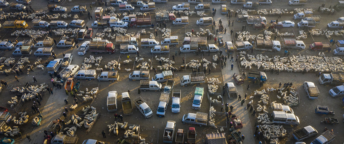 河北经济管理学校招生简章 - 报考条件及专业设置