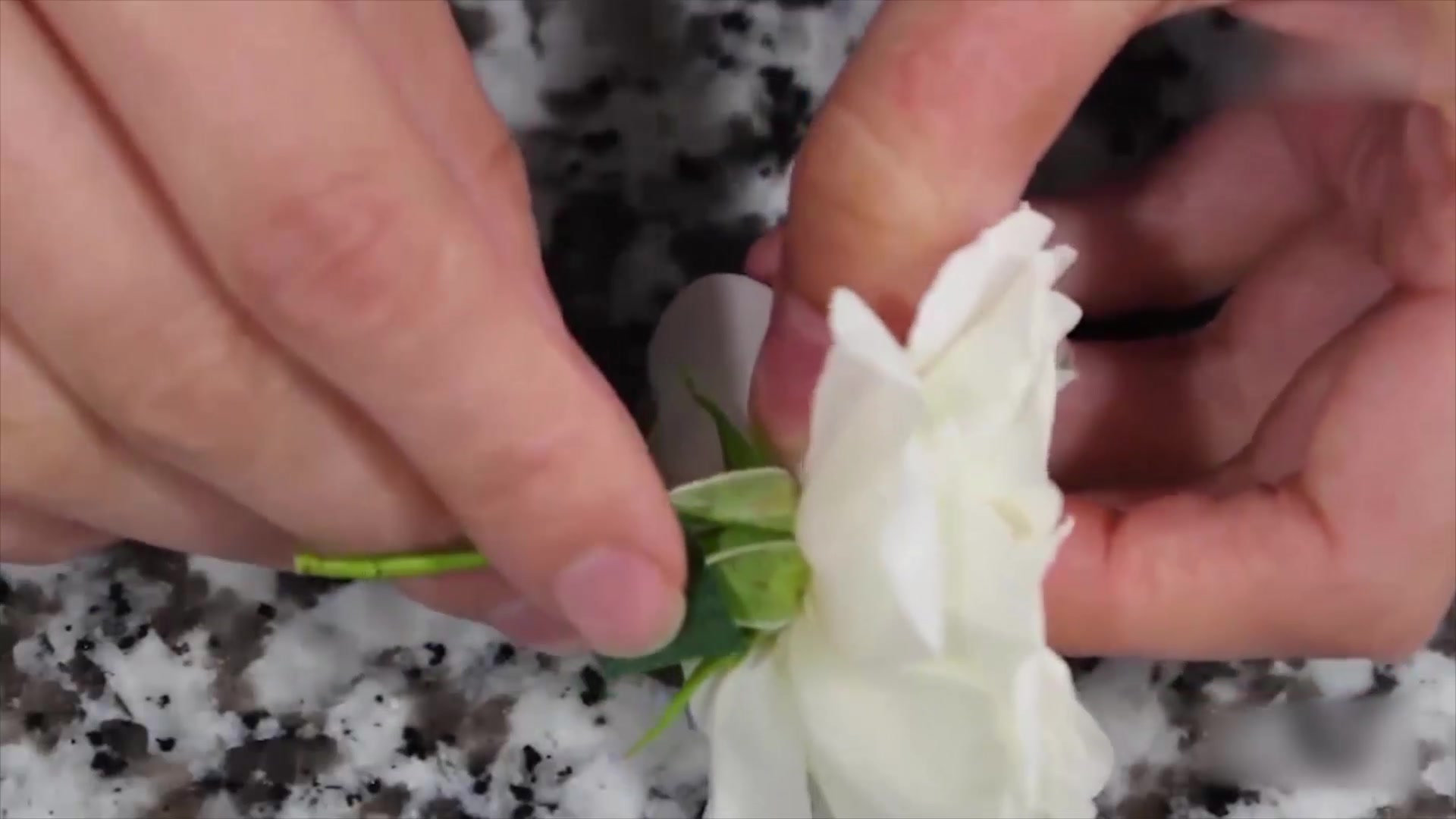 DIY鲜花多肉植物婚礼蛋糕,颜值高,又美味