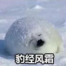 上《极限挑战》被P成卡通形象？他也真是活该啊...