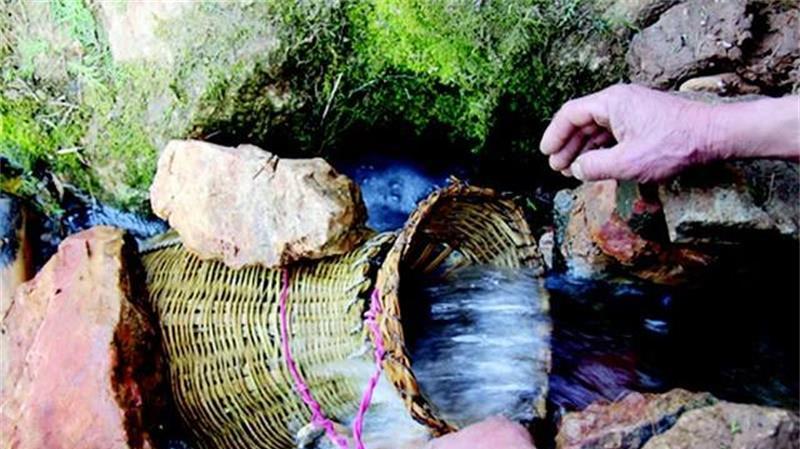 “流鱼洞”出鱼上万斤,村民想吃鱼只需带上篓子,专家却说吃不得