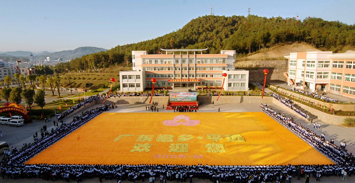 纳雍中等职业学校怎么样？招生专业有哪些？就业前景如何？