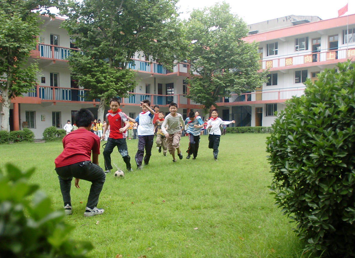 2006年6月25日,经湖北省武汉市区环保局及教育部门联合考核,武汉市桥