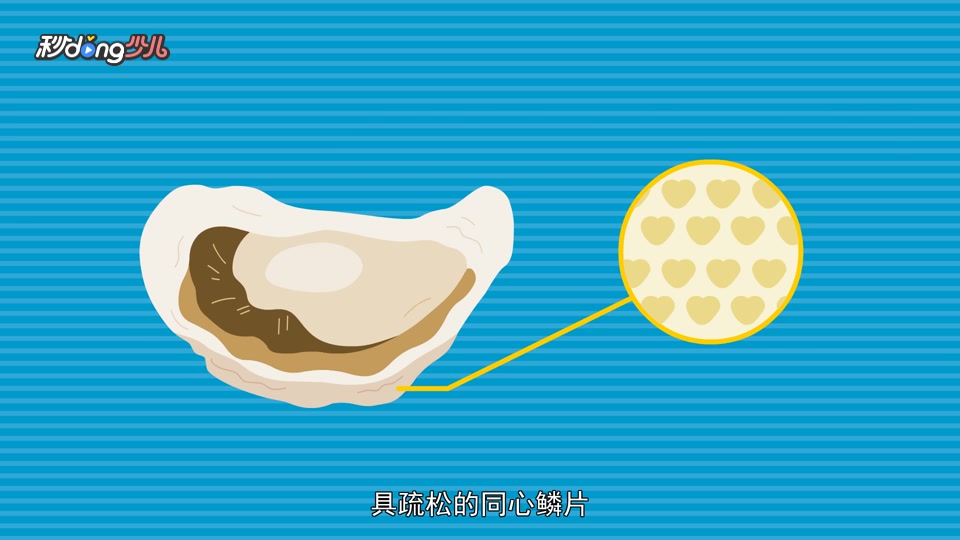 牡蛎和生蚝有什么区别呢?