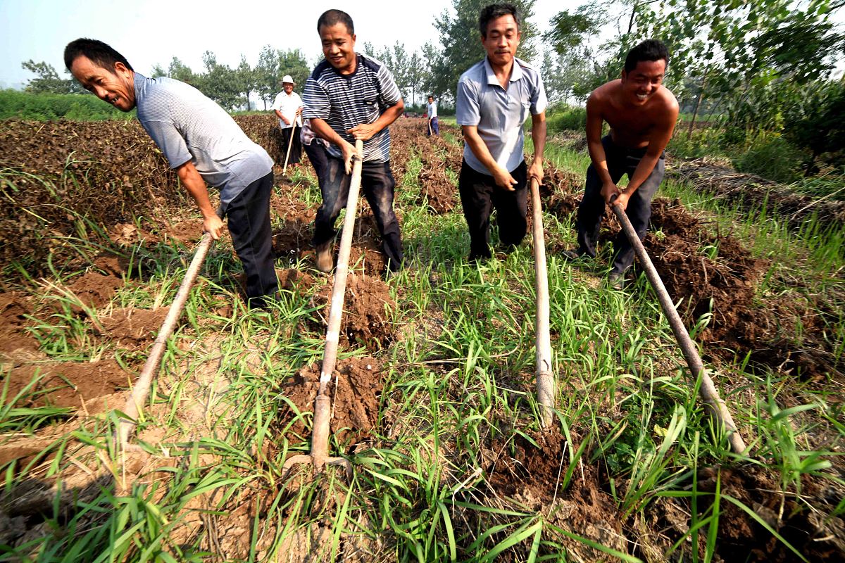 2023四川有农村经济综合管理专业的中专中职学校有哪些_怎么样