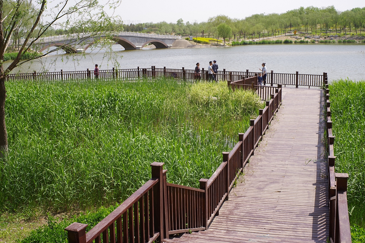 《寻梦环游记》曾曾祖母祝福米格场景人物心理分析 - 2000字深度解读