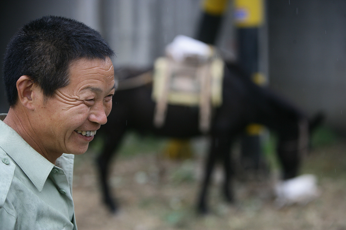 《忠骨》观后感：一位老农民的忠诚与坚持