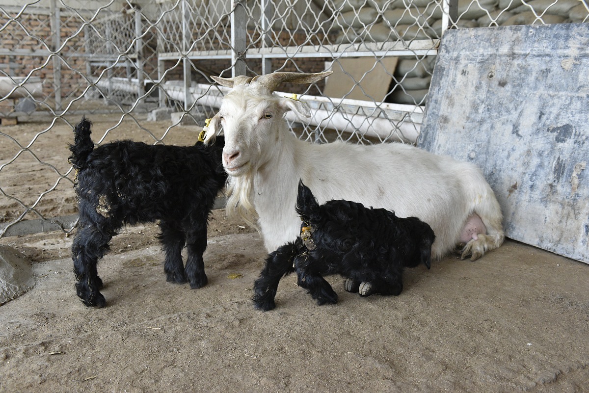 山西省畜牧兽医学校简介