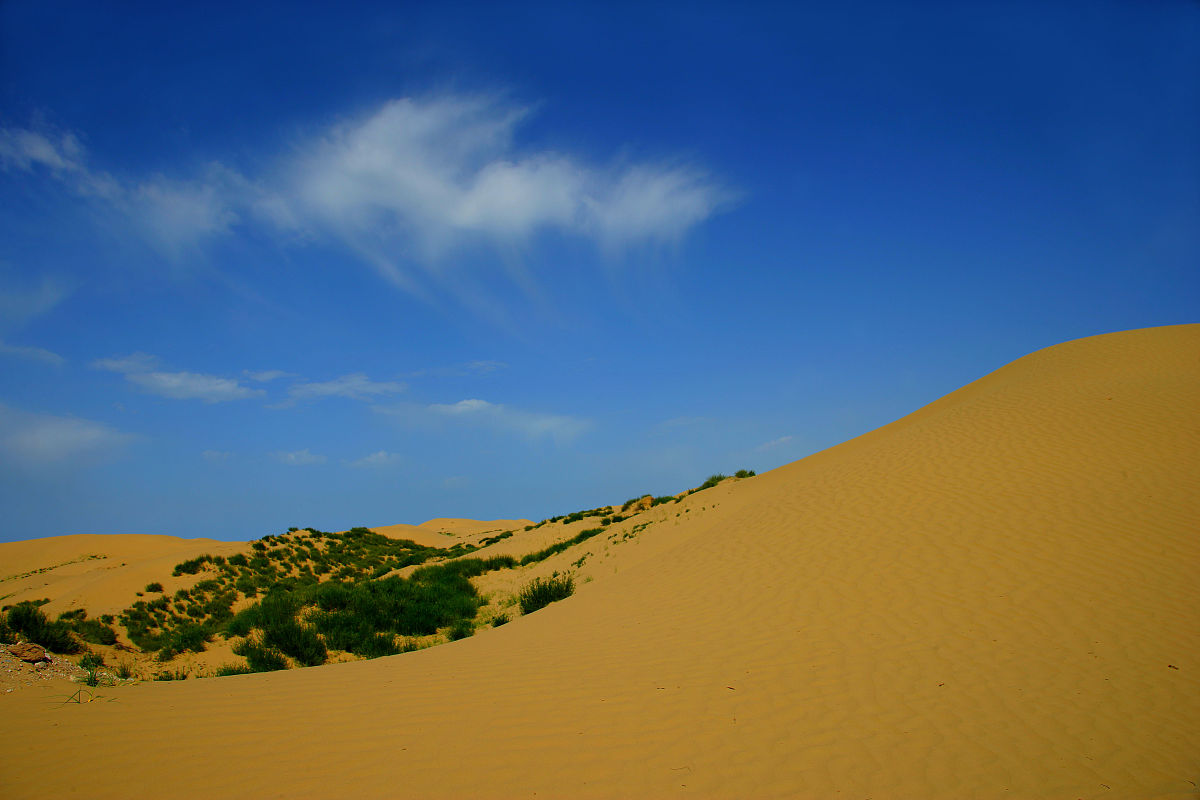 针对灌区生态健康写5个字说明