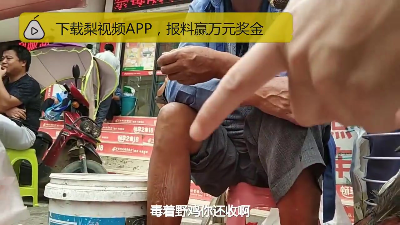 他摊前摆野鸡尸体:证明鼠药效果好
