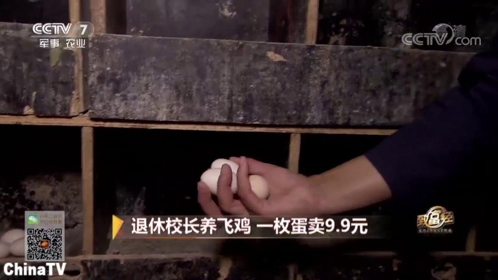 女子的20万枚鹊山鸡蛋只砸在手里,一次就让她损失了五十万元
