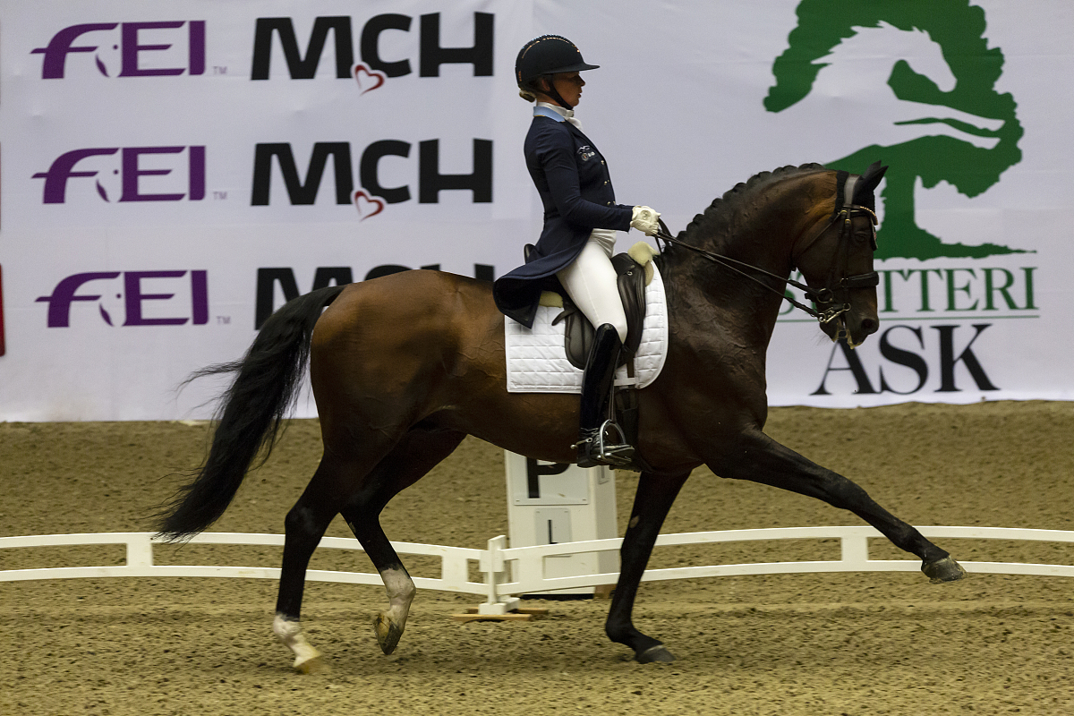 第一次骑马 写一篇300字小学作文