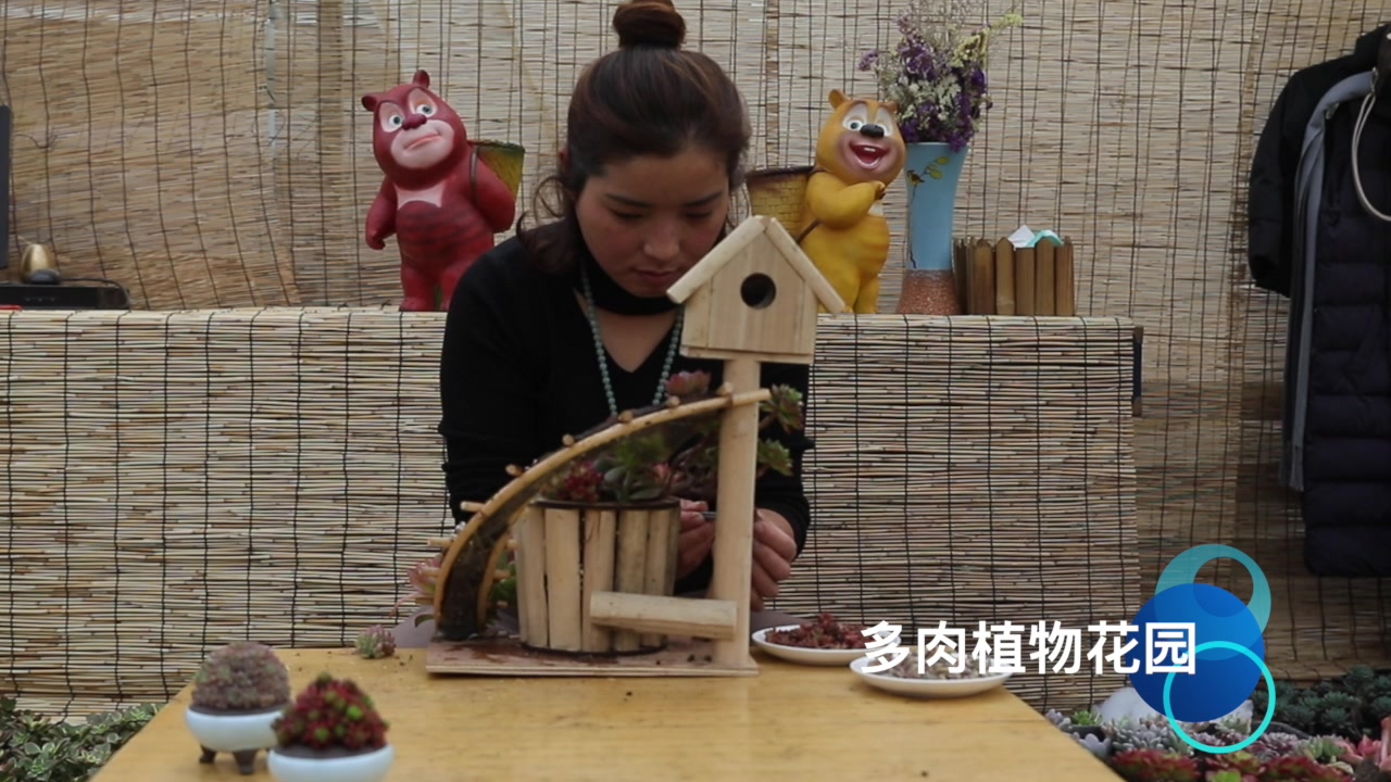 一些常见的多肉植物,经过美女巧手就变成了一个漂亮的盆景