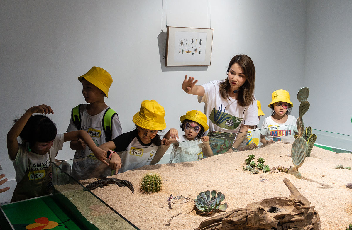 儿童自然教育的意义