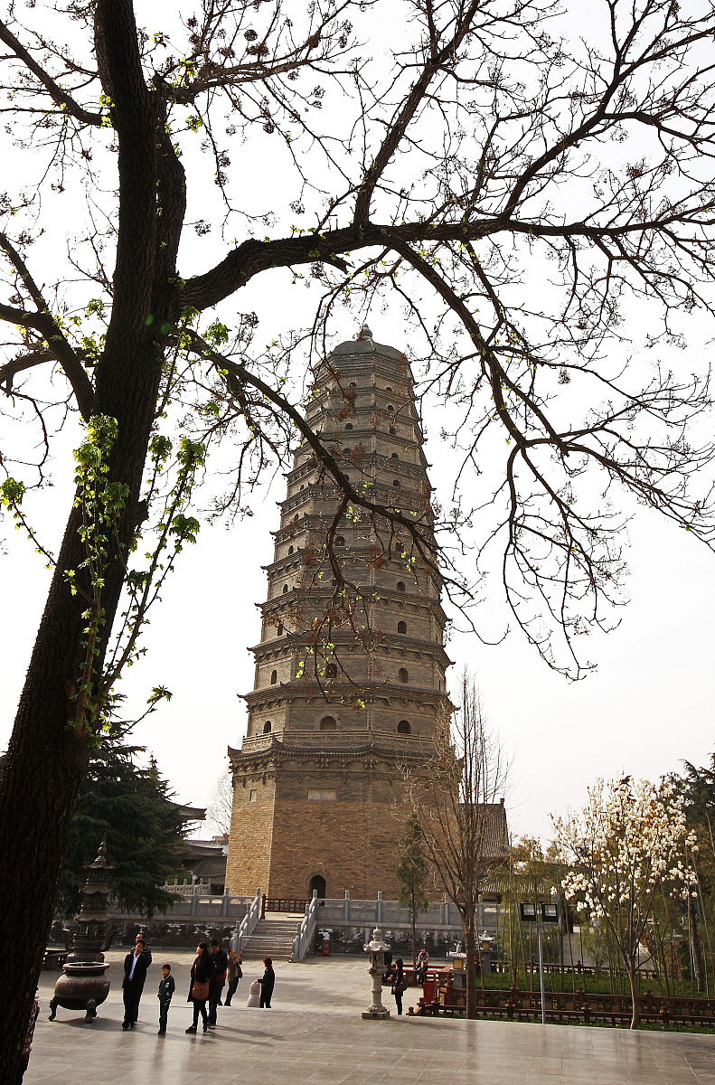 陕西旅游烹饪职业学院旅游管理专业怎么样？ - 值得报考吗？