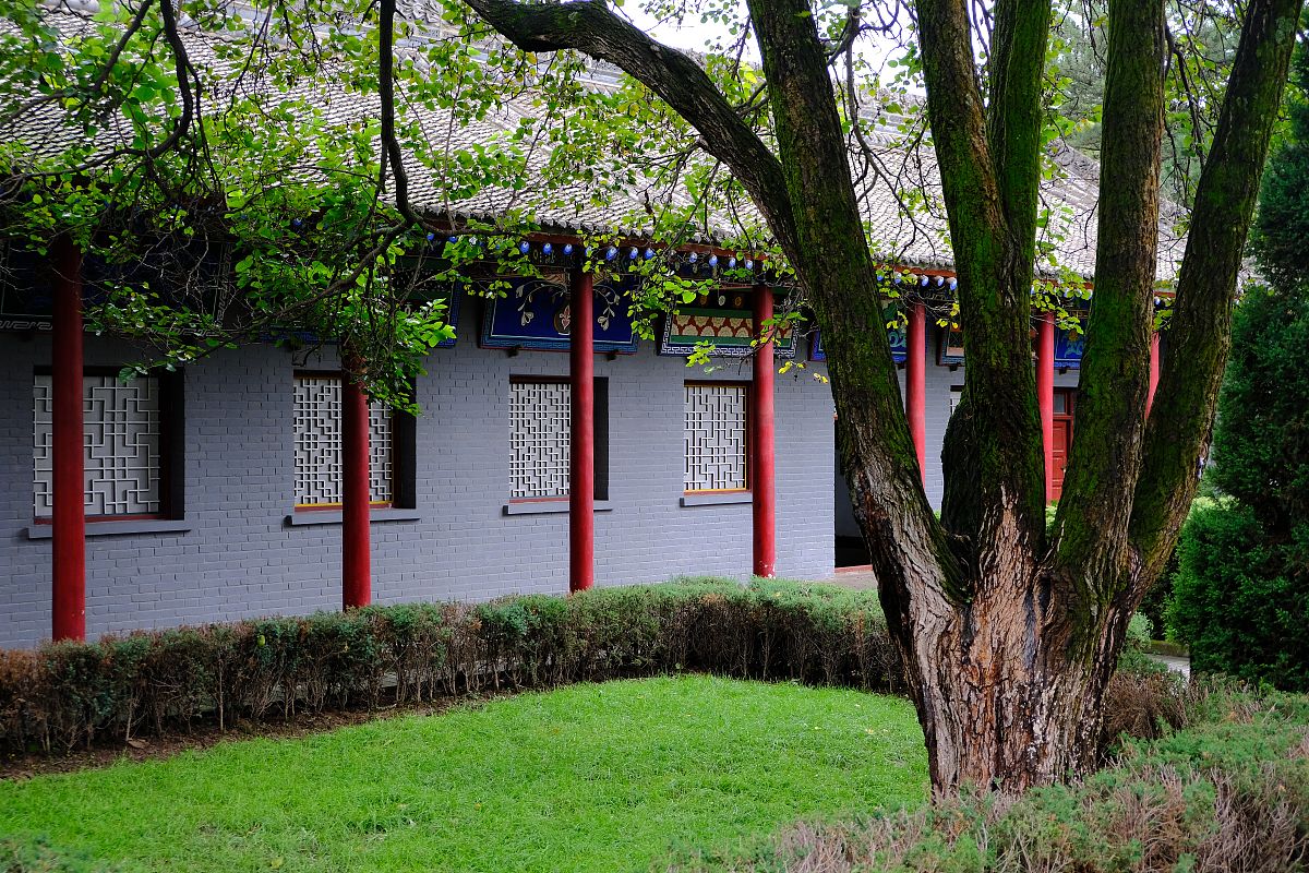 庆阳卫生学校2021年招生简章 - 培养优秀的医疗人才