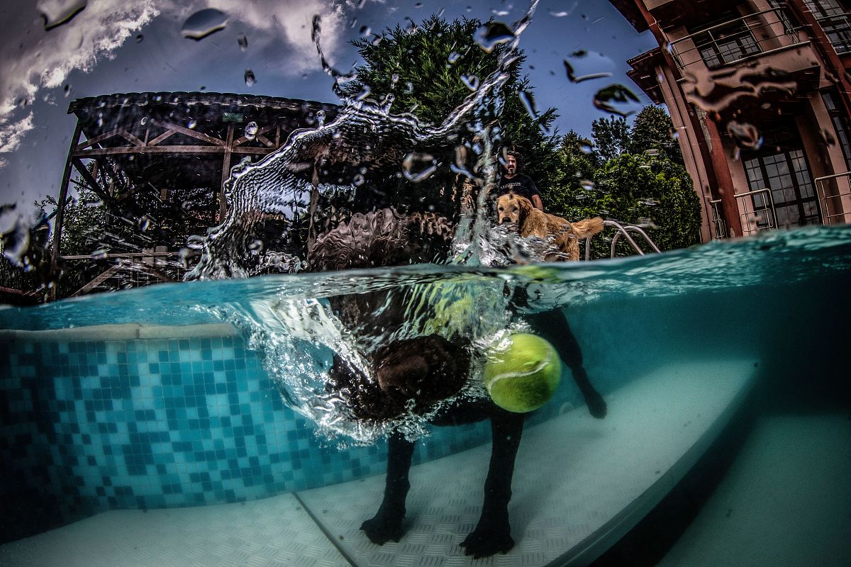 康复治疗学实习报告：六周实践经验总结与未来规划