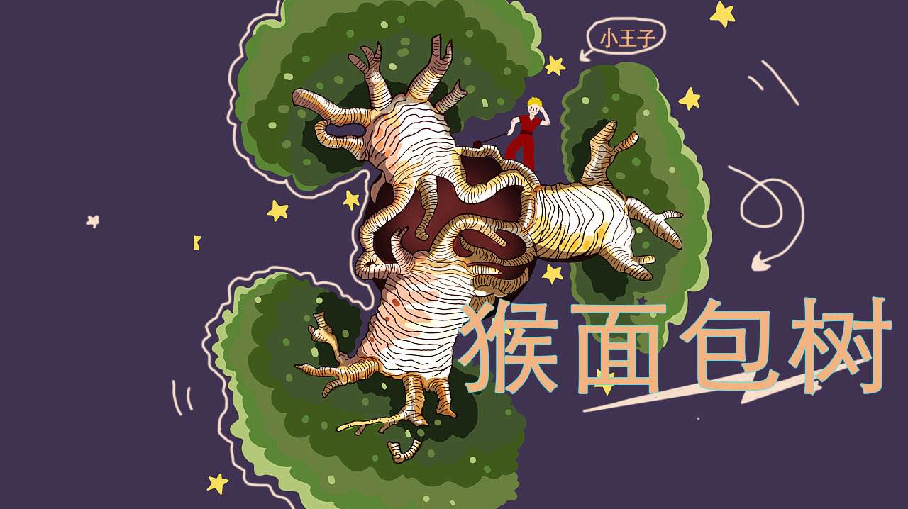 深夜故事 I《小王子》第五章,猴面包树是什么